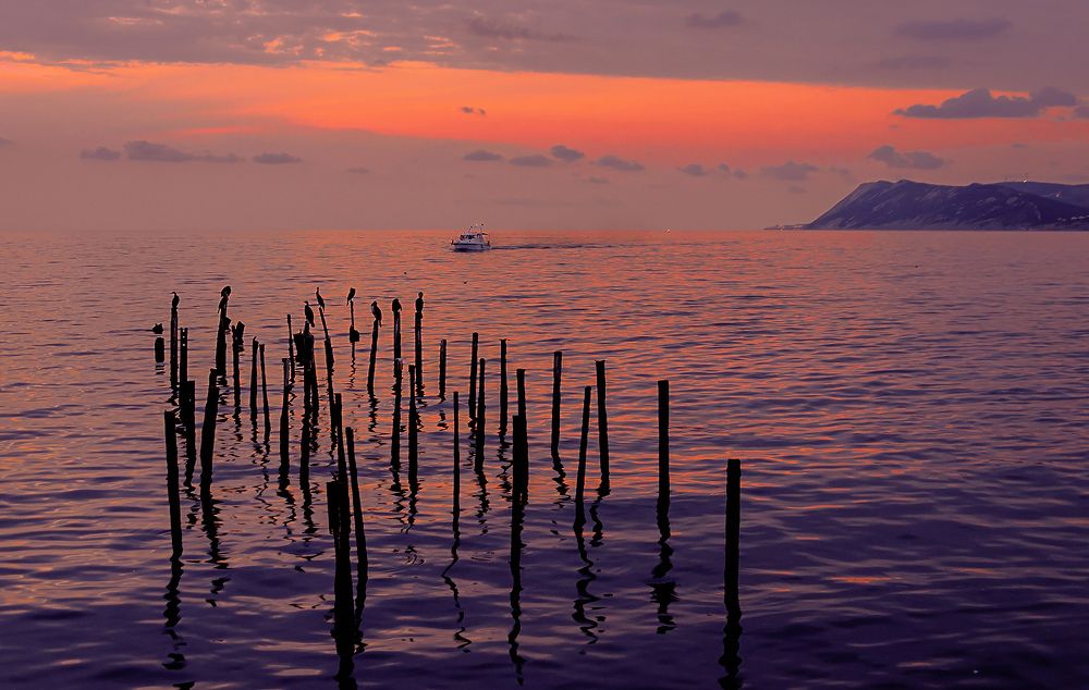 Photograph by Надежда Колеватова