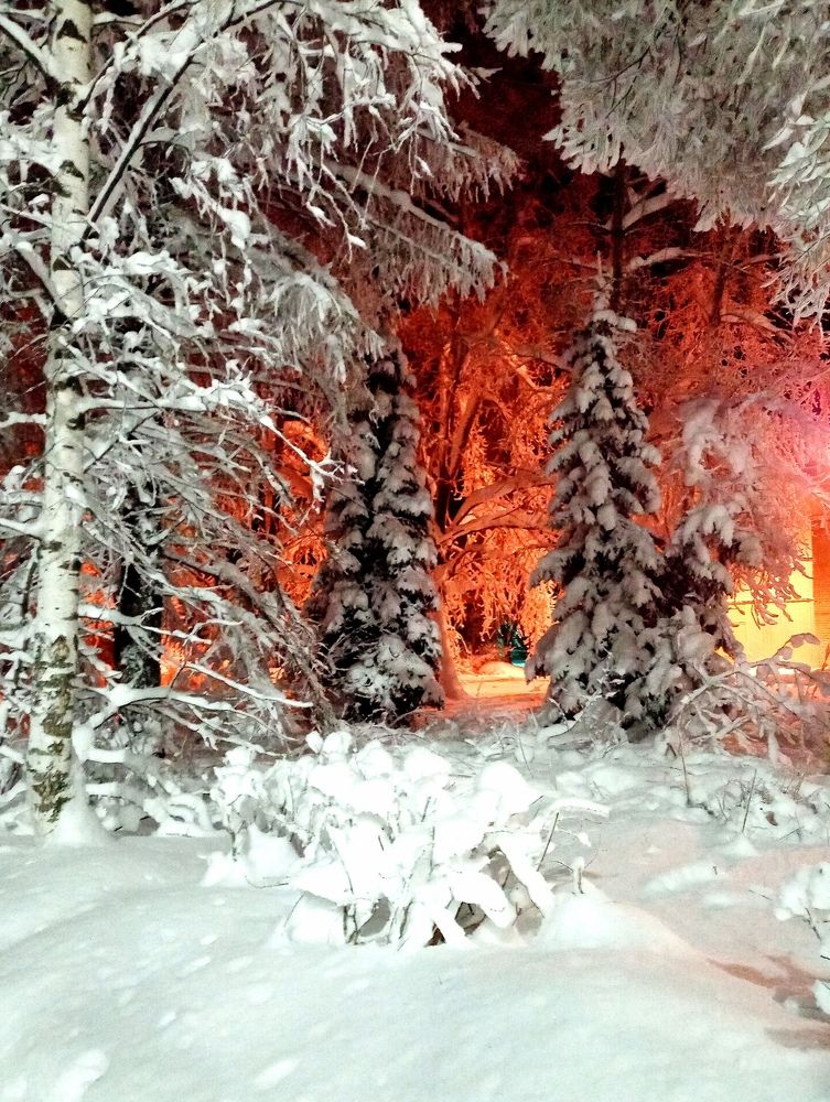 Photograph by Оксана Фурс