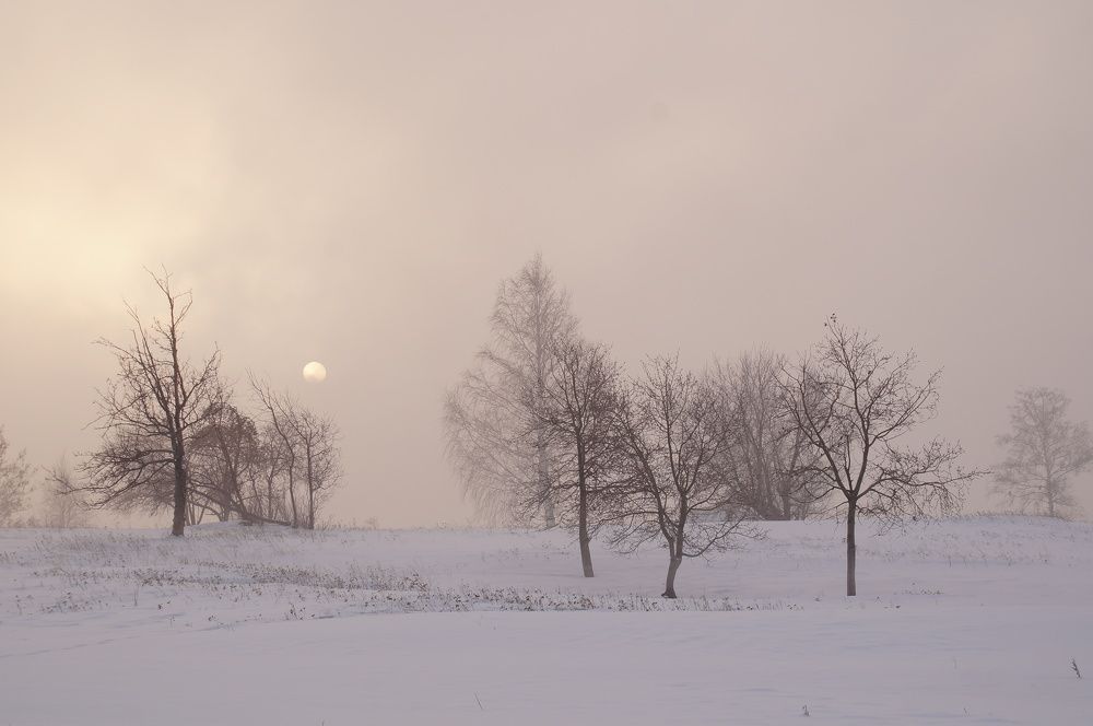 Photograph by Юрий Гау