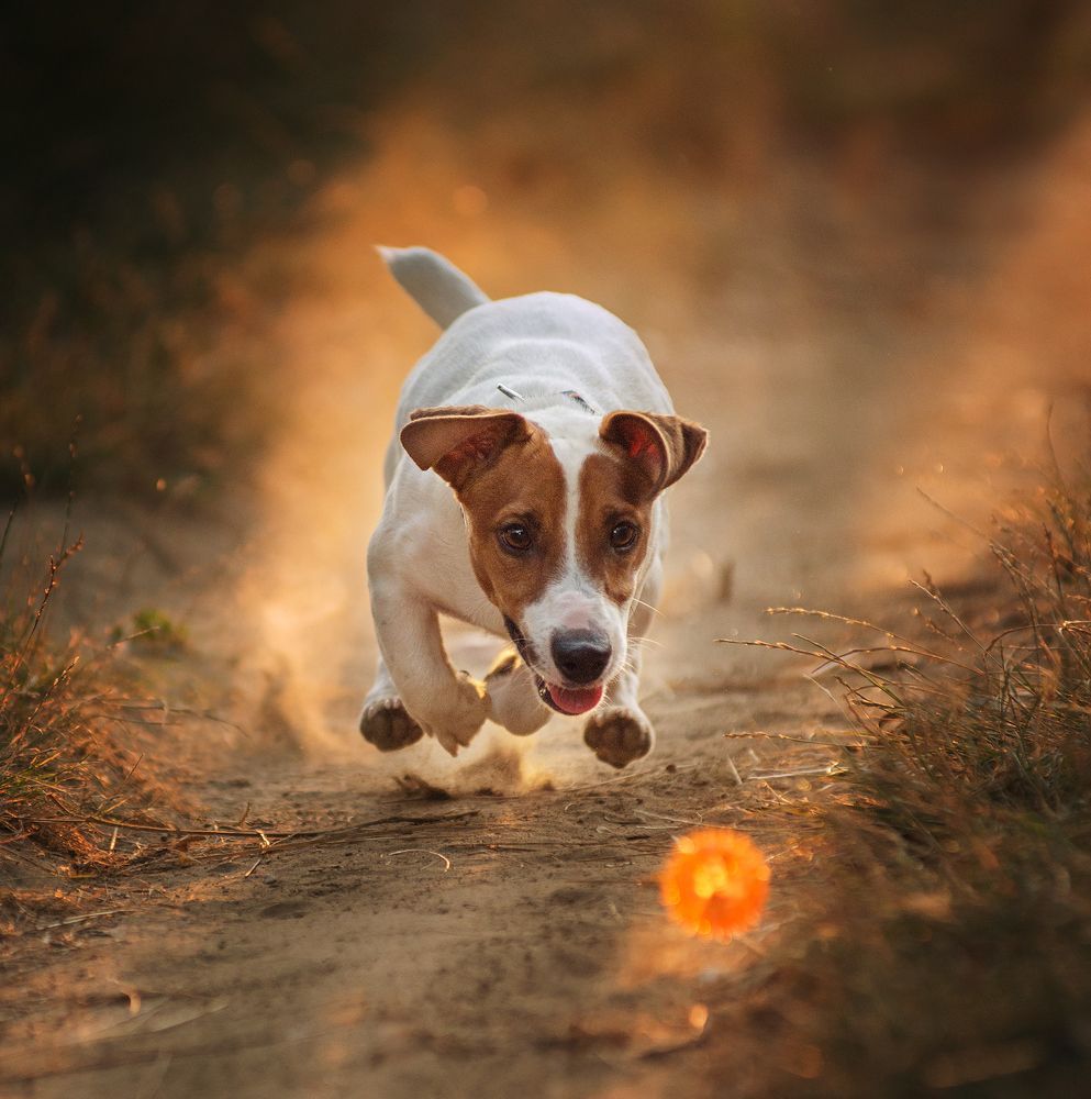 Photograph by Григорьева Юлия