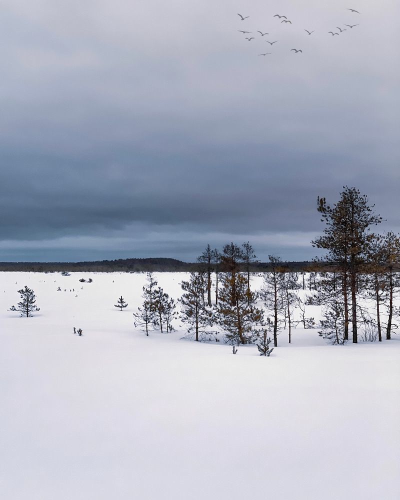 Photograph by Александра Некрасова