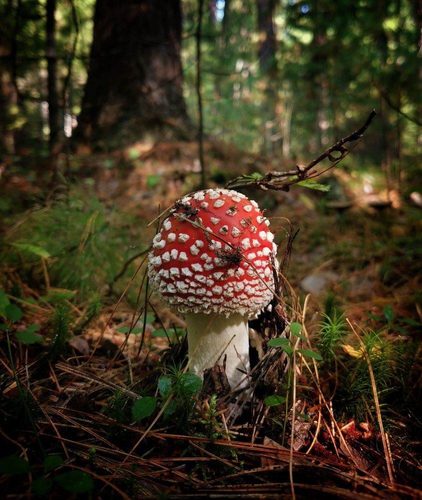 Photograph by Oxana Kostsova