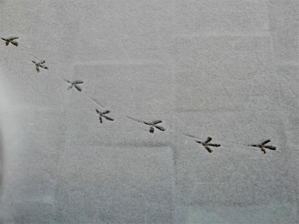 Photograph by Татьяна Красавцева