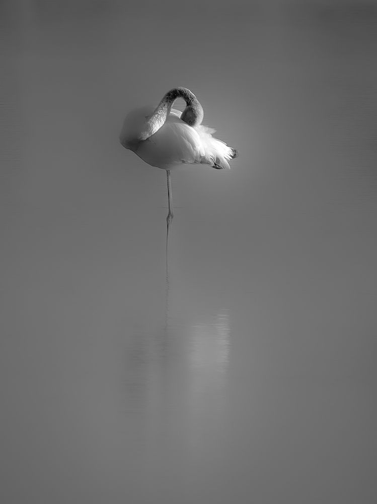 Photograph by Giuseppe Catalano