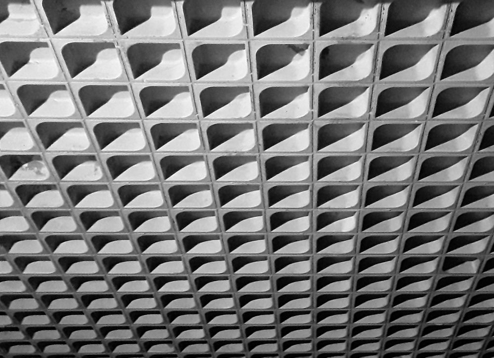 Photograph by Sajad Alizadeh