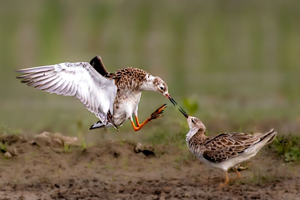 Photograph by Navin Agarwal