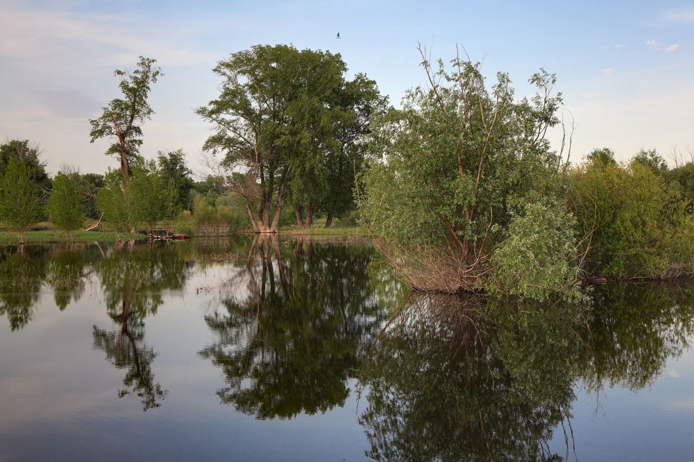 Photograph by Андрей Ларионов