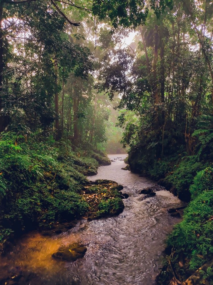 Photograph by Pasindu Heshan