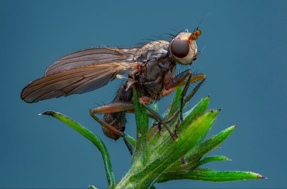 Photograph by Иван Радьков