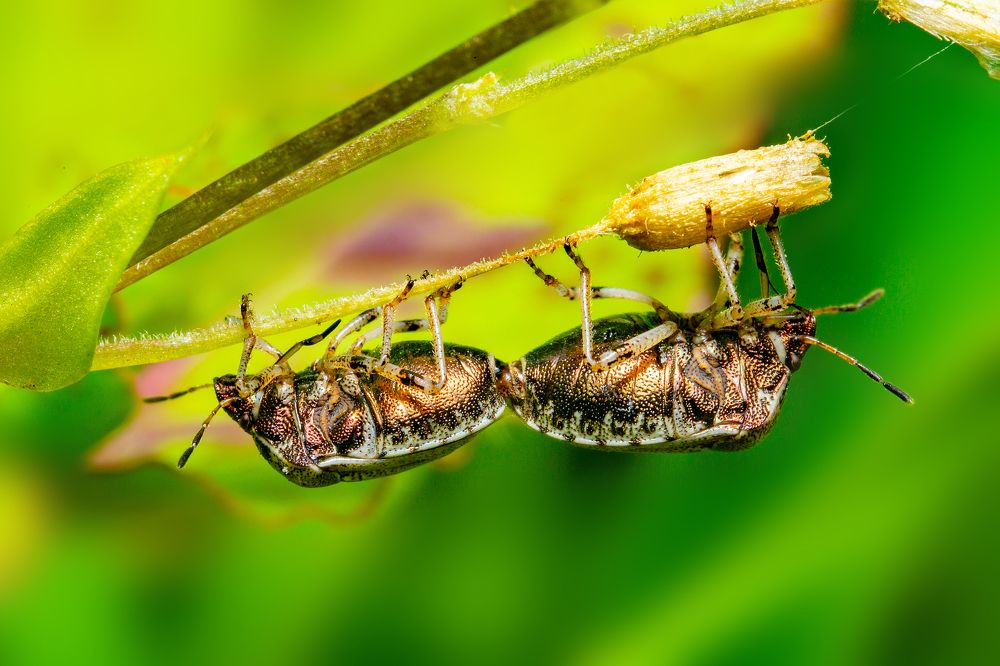 Photograph by Иван Радьков