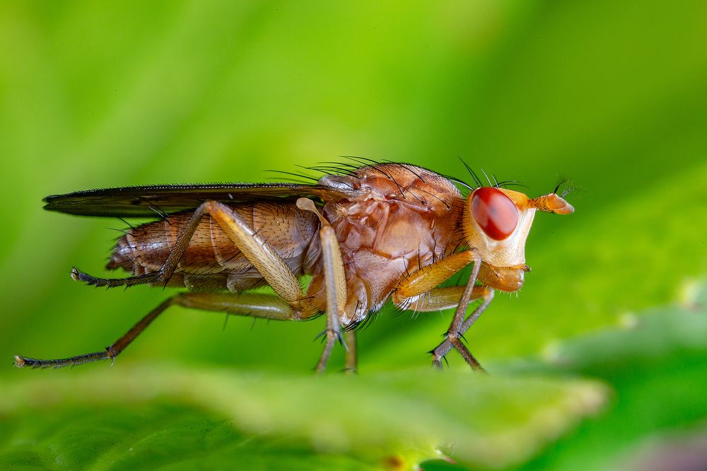 Photograph by Иван Радьков