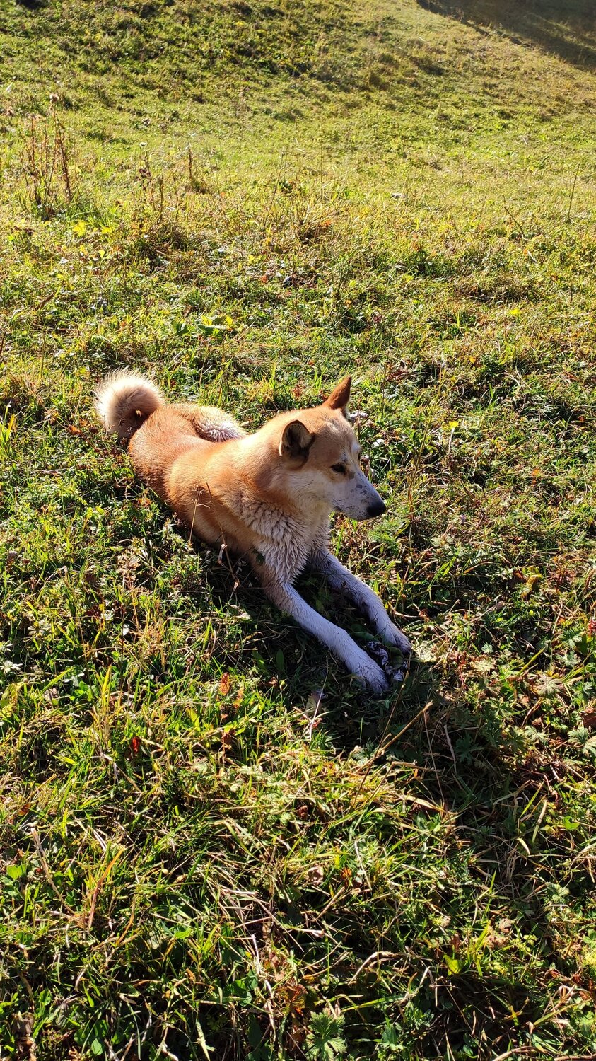 Photo #7244942
