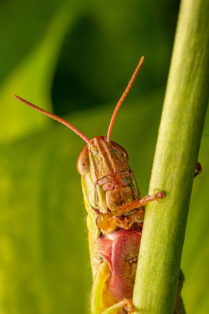 Photograph by Иван Радьков