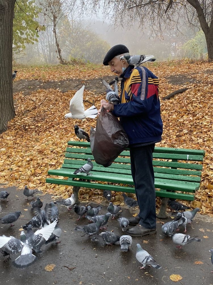 Photograph by Косяченко Светлана