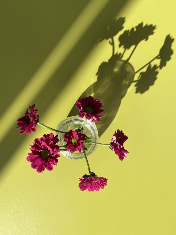 Photograph by Mariia Lukonina