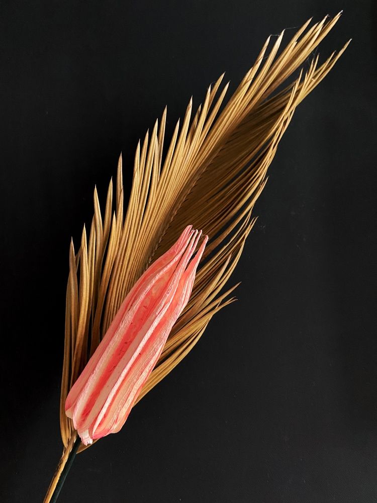 Photograph by Mariia Lukonina