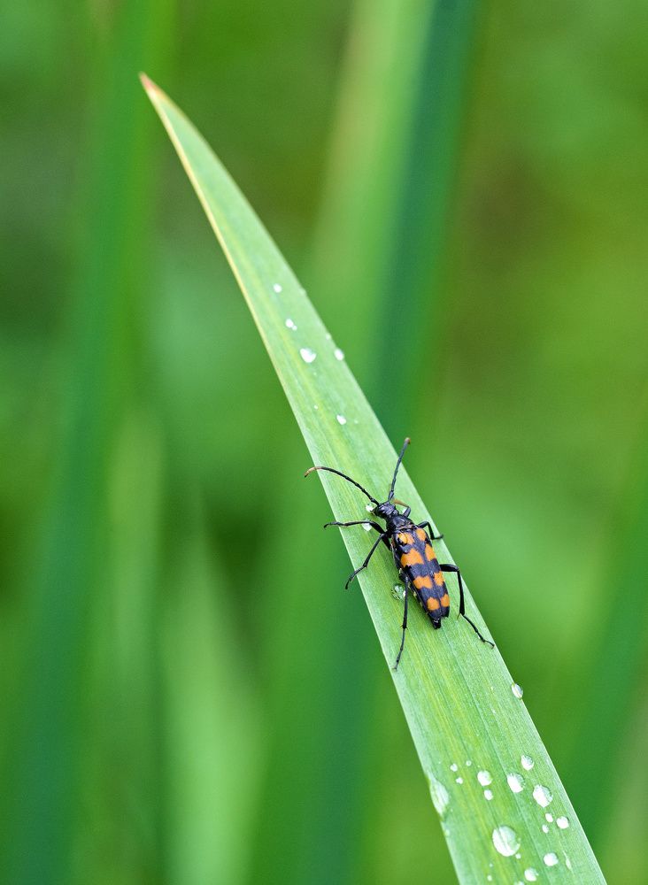 Photograph by Сергей Басов