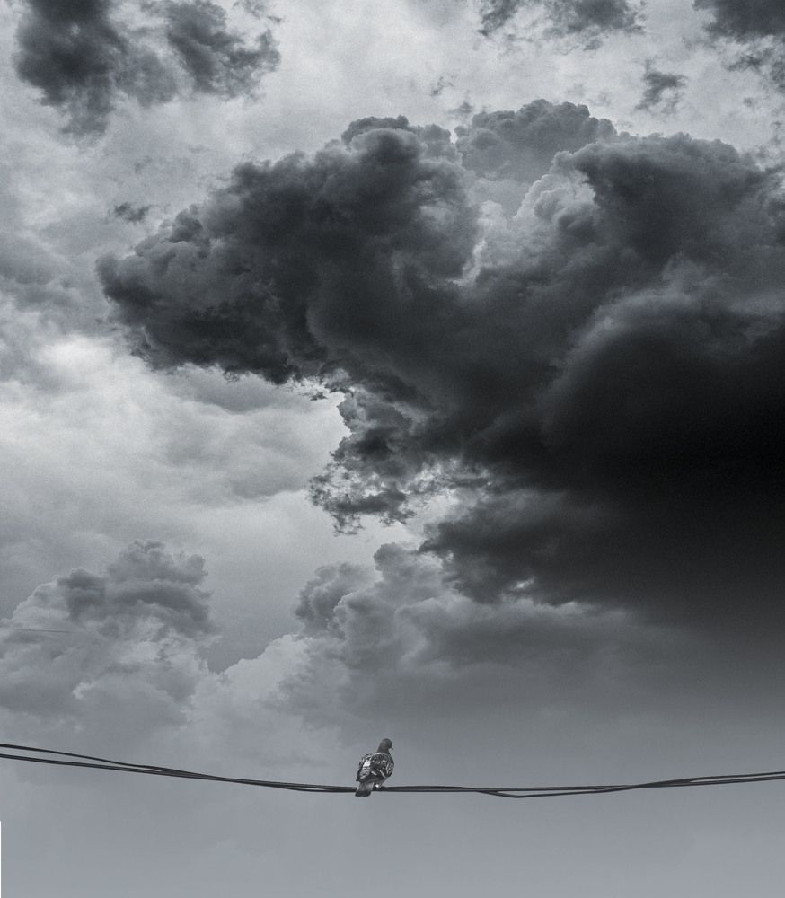 Photograph by Vladimir Jablanov