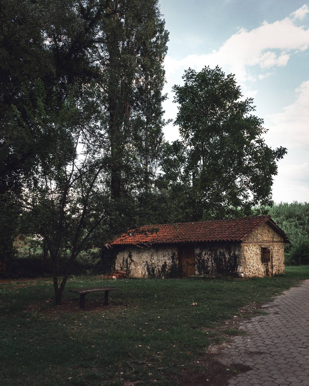 Photo #7245104