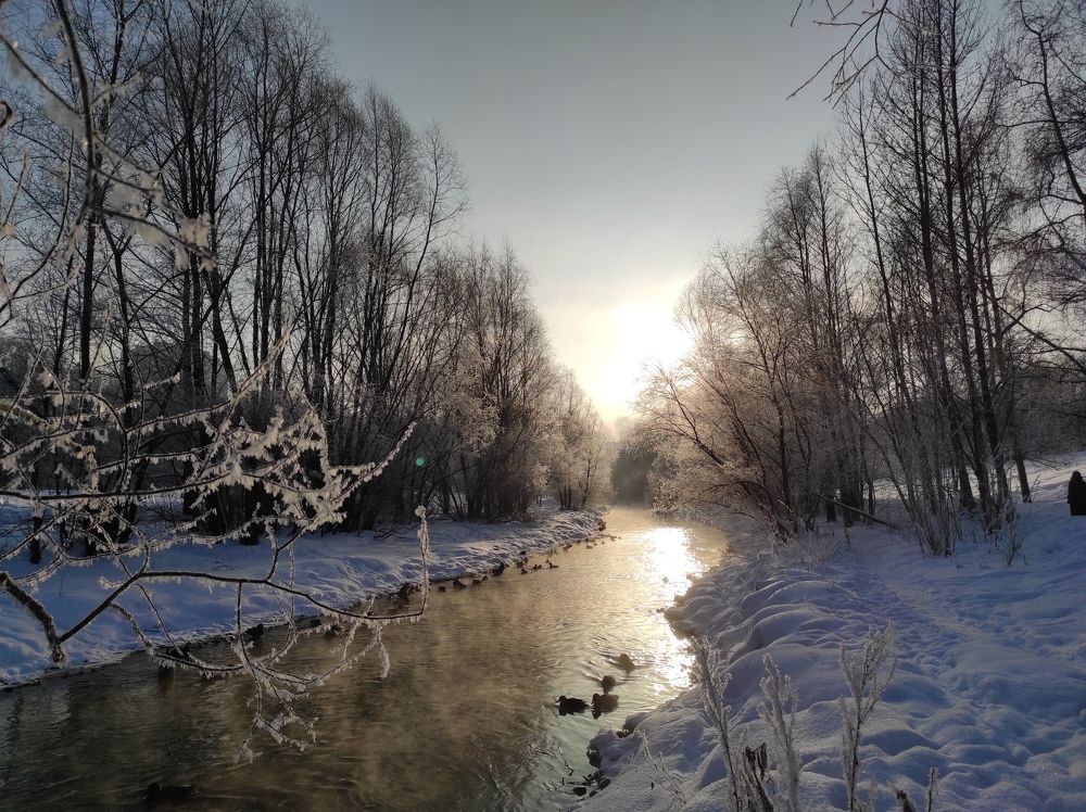 Морозное утро на Яузе