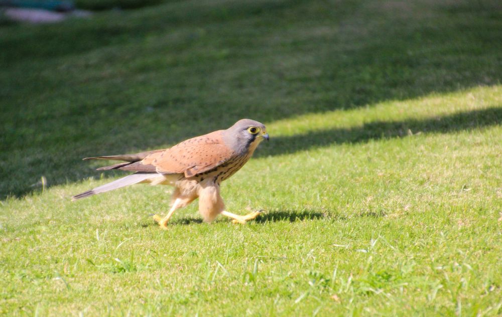 Photograph by Олег Пашко