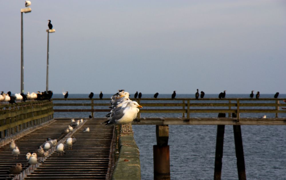 Прогулки. Балтика.