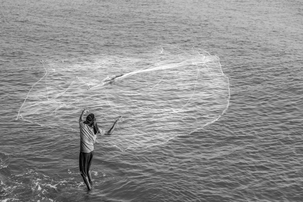 Фотография автора Vijay V