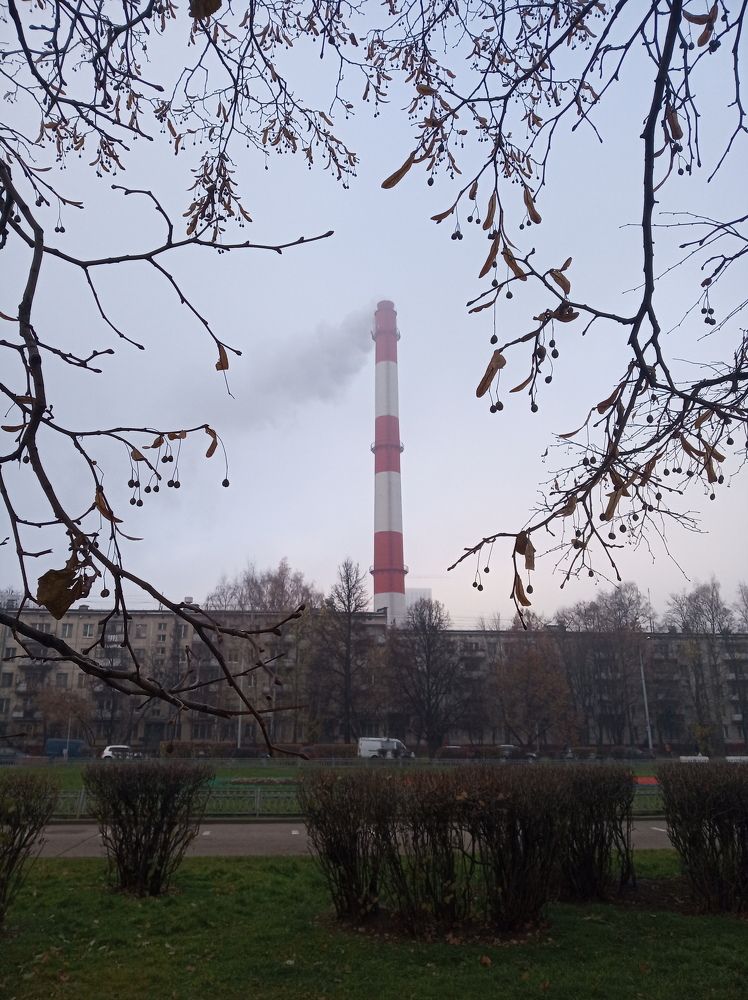 Photograph by Ирина