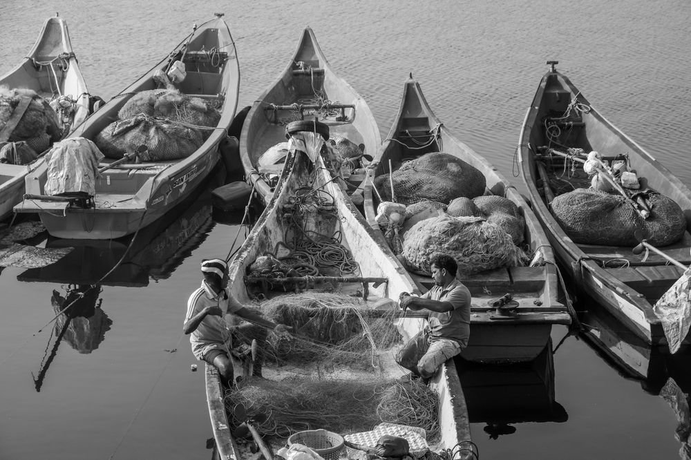 Фотография автора Vijay V