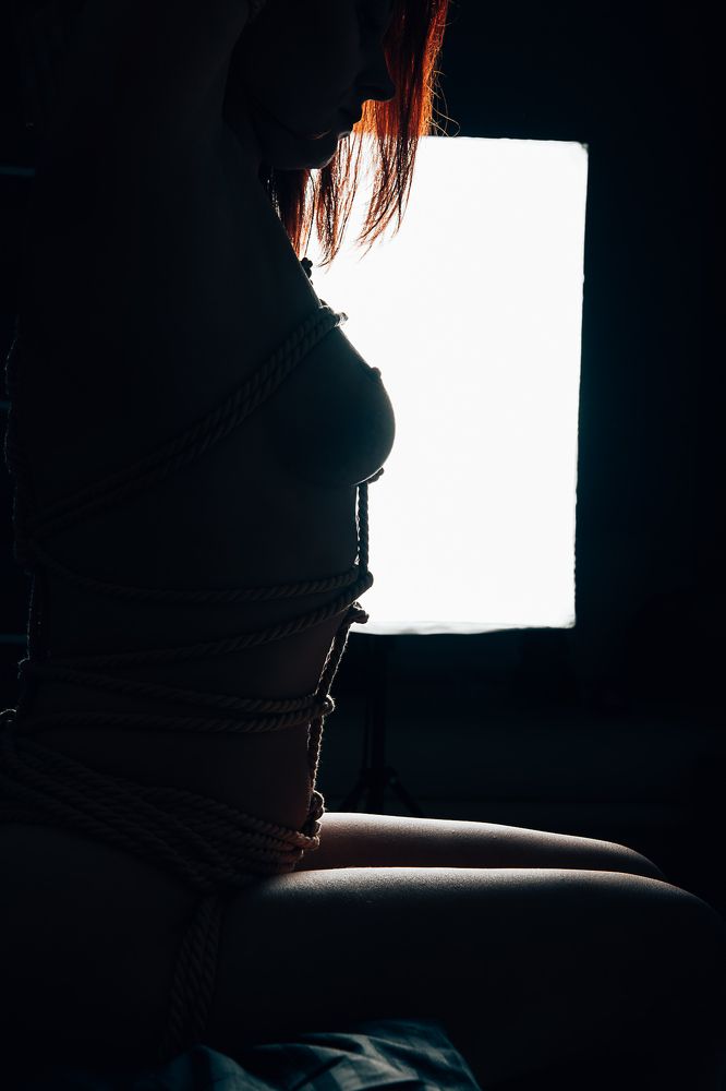 Фотография автора Алексей Григорьев