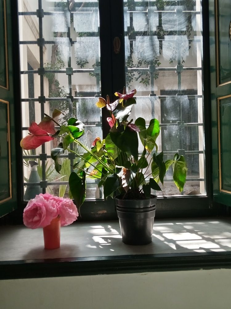 Photo #7245268