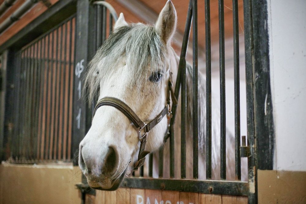 Photograph by Алсу Хусаинова