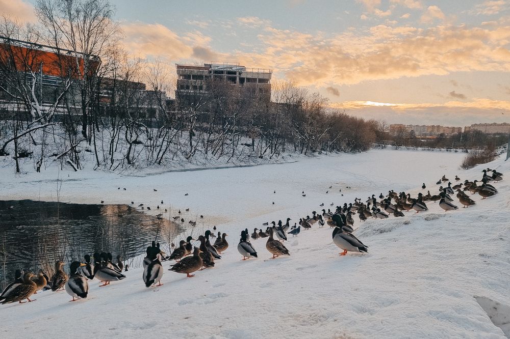 Photograph by Инна