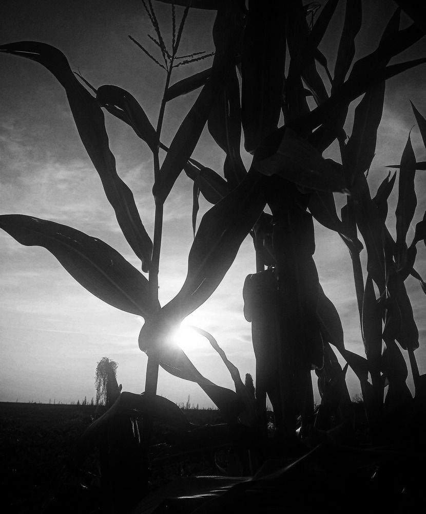 Фотография автора Jindřiška Kučerová