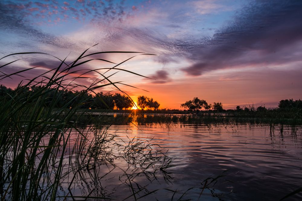 Photograph by Дмитрий Власов