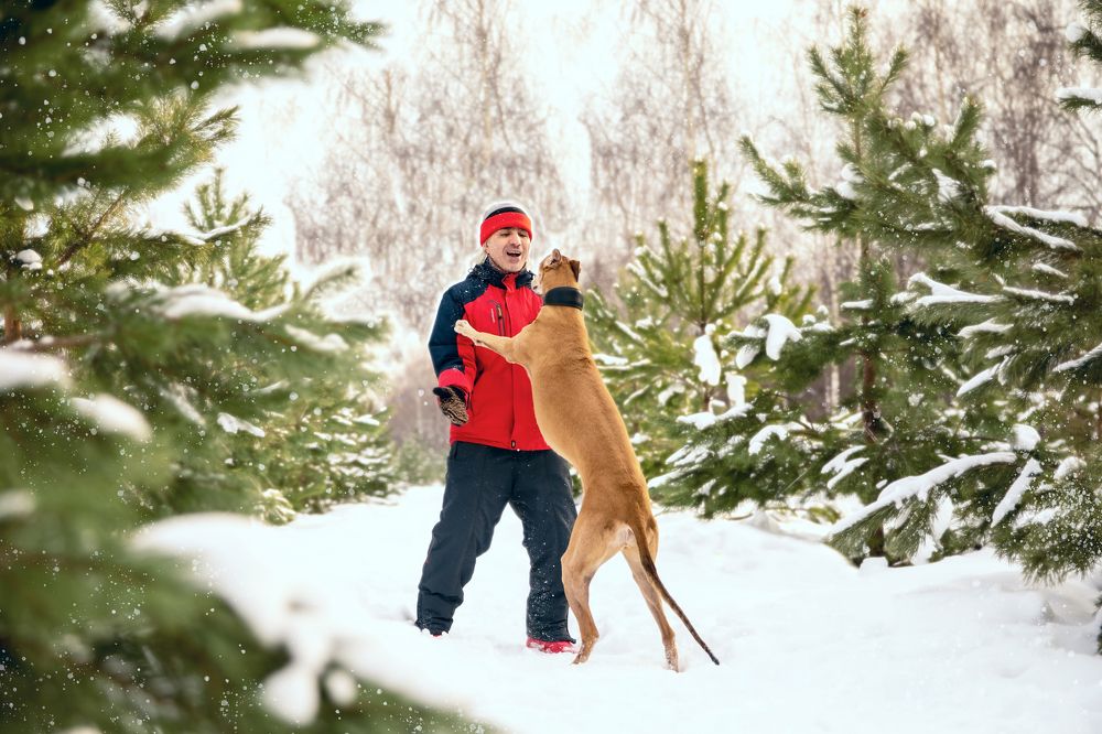 Photograph by Оксана Владимировна