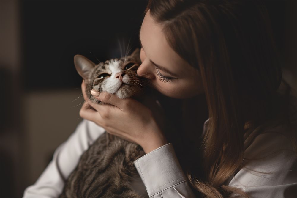 Photograph by Алина Аристова