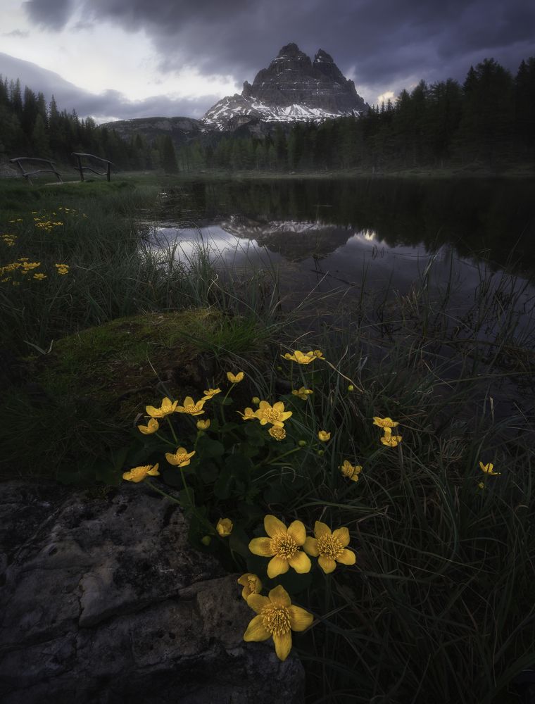 Photograph by Stefano Balma