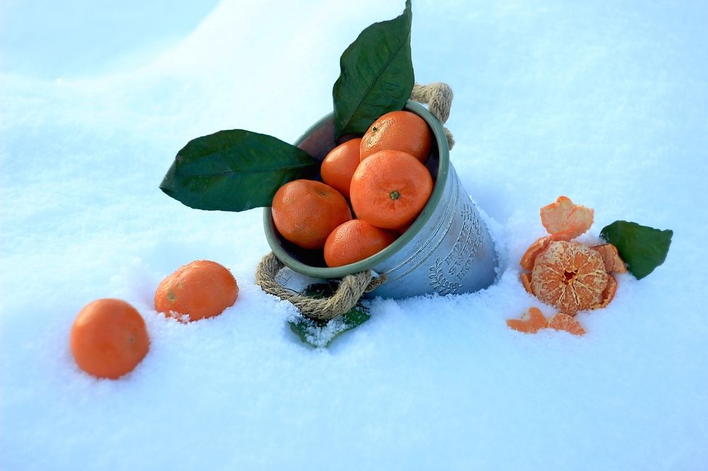 Photograph by Светлана Бузина