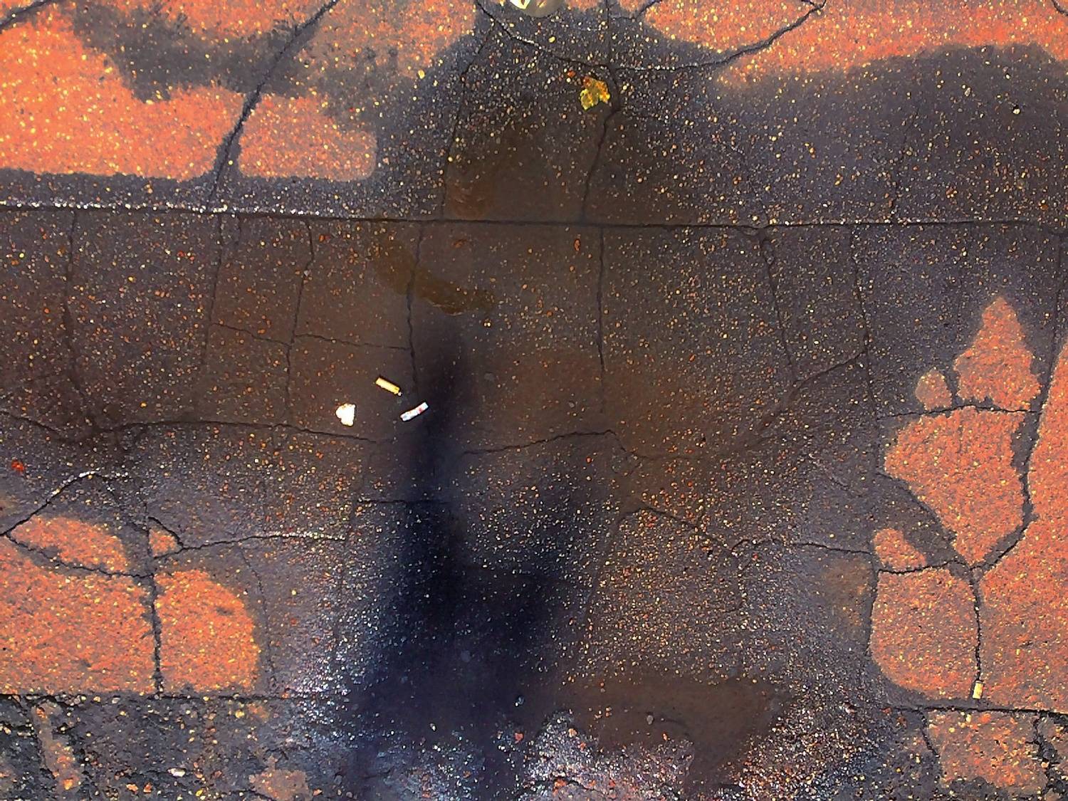 Look under your feet!  Don't pollute their world!  They suffer too!