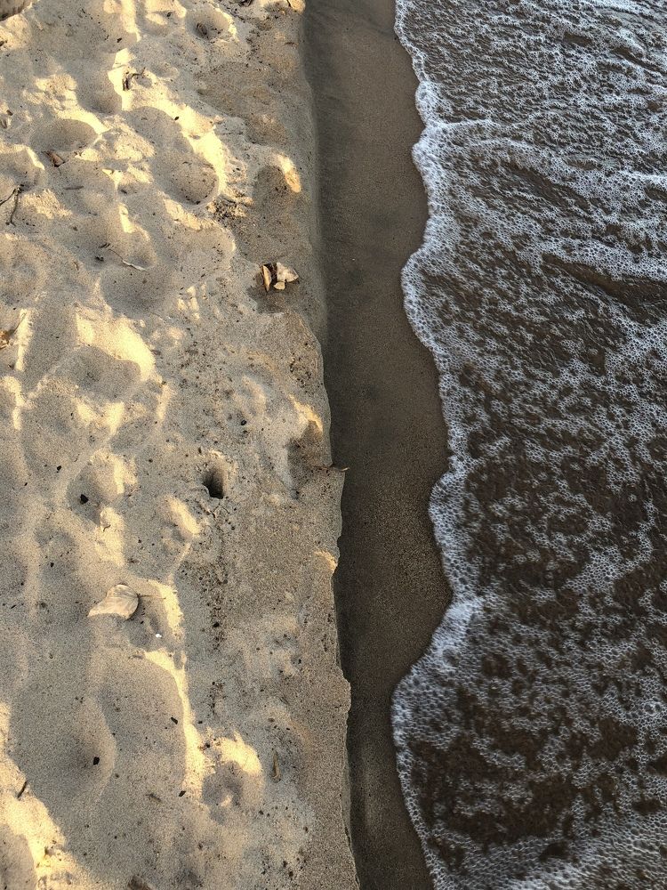 Прогулка у озера