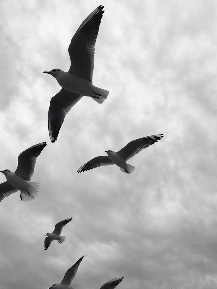 Photograph by Ольга Шоляк