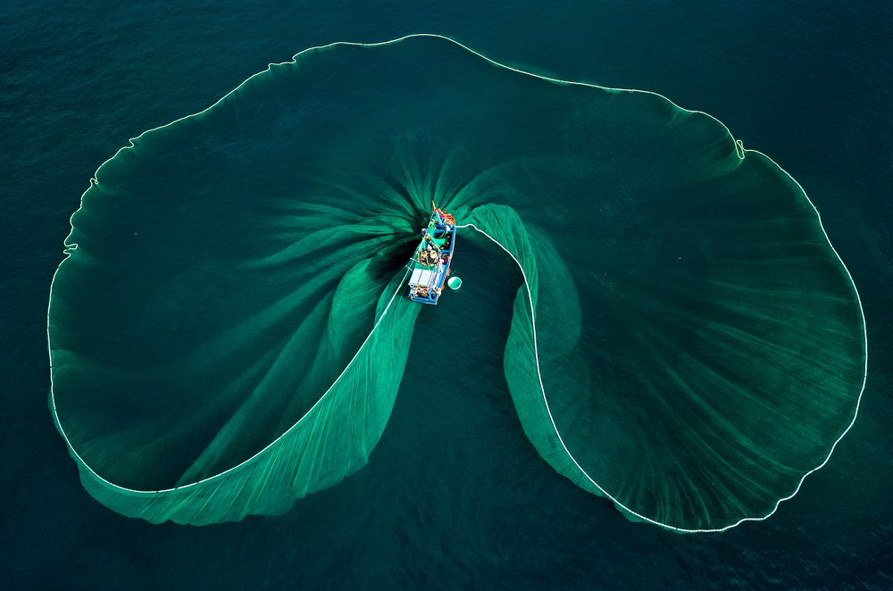 Photograph by TRUNG LE CHI