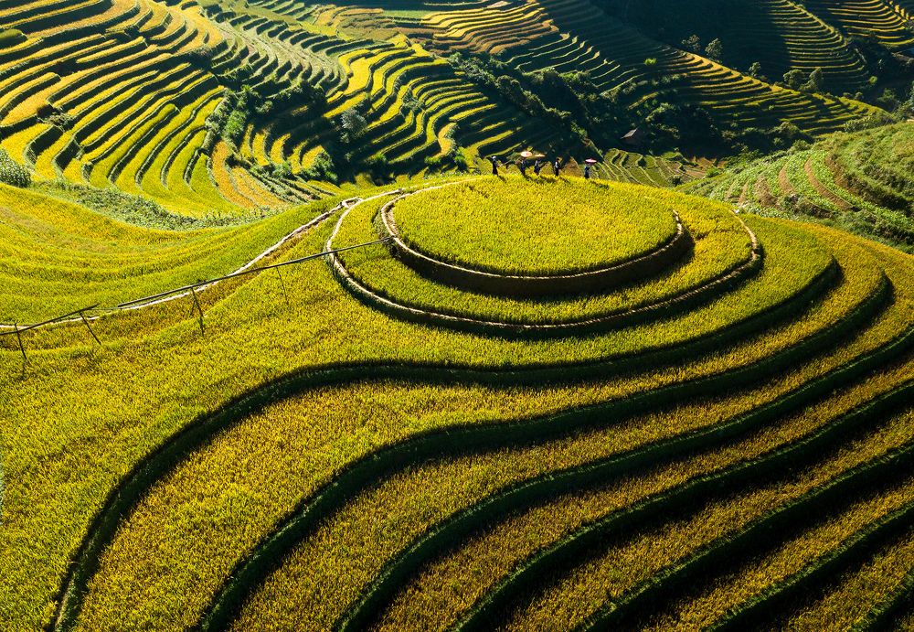 Đồi Mâm Xôi, Việt Nam