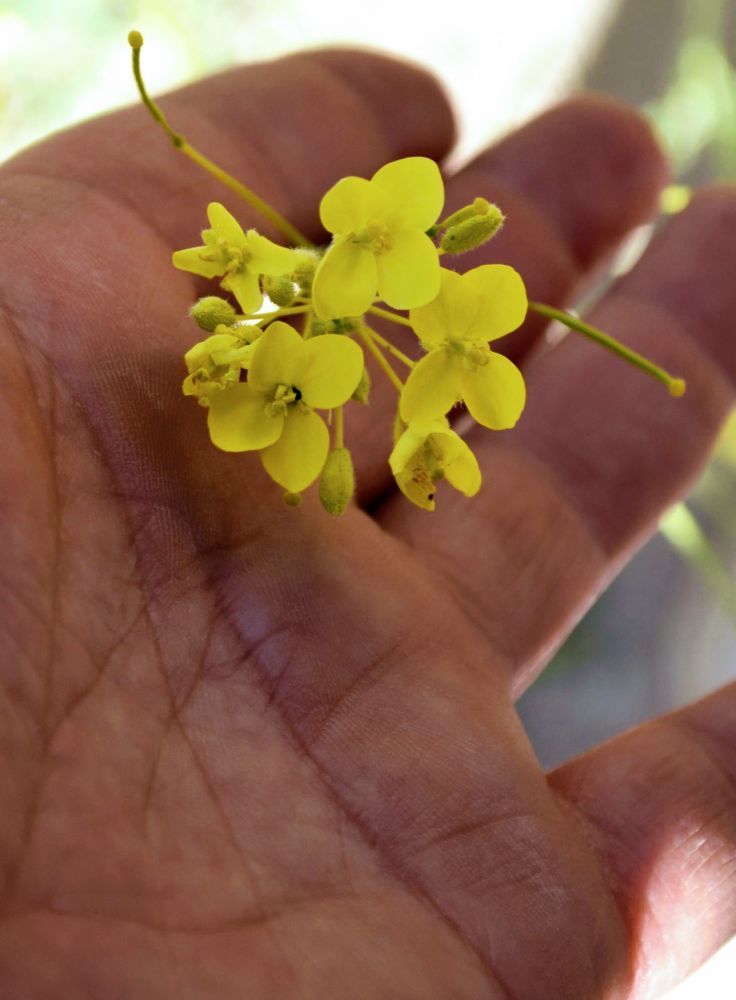 Photograph by Sakhria Mbarki