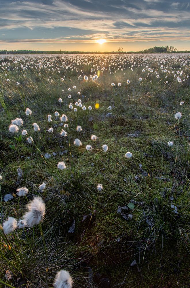 Photograph by Александр Кузнецов