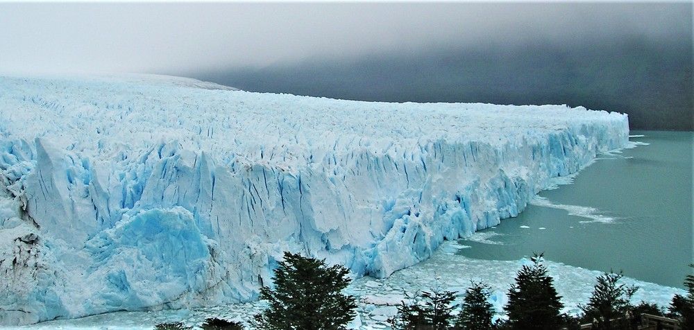 Фотография автора OSMIR ZANETTE