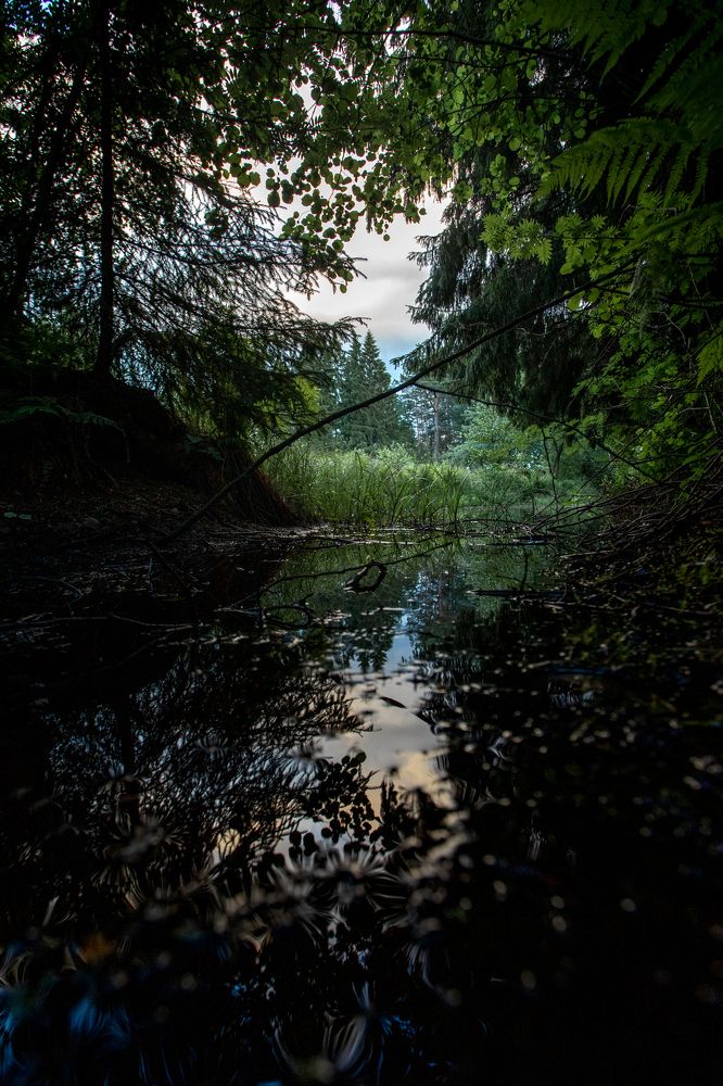 Photograph by Александр Кузнецов