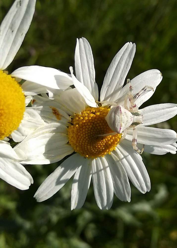 Photograph by Наиля Омарова