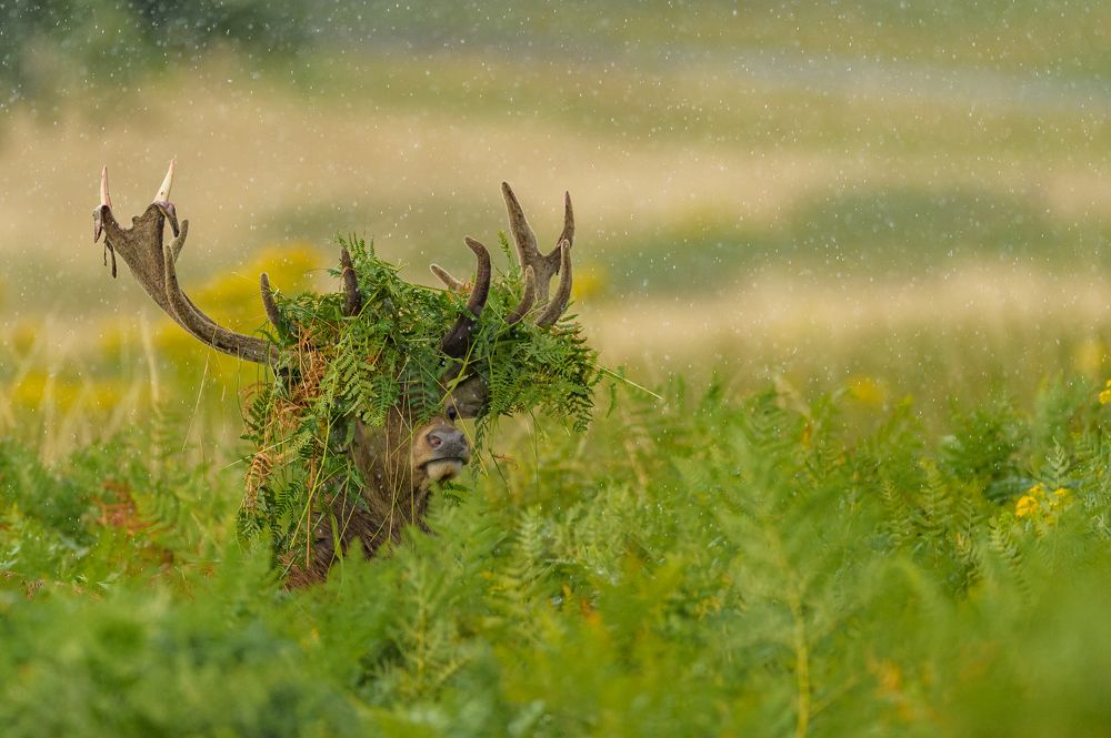 Photograph by Bartek Olszewski